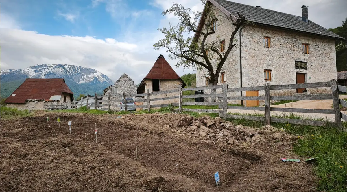 Small family home Ledici planting agriculture organic Foundation Second 01