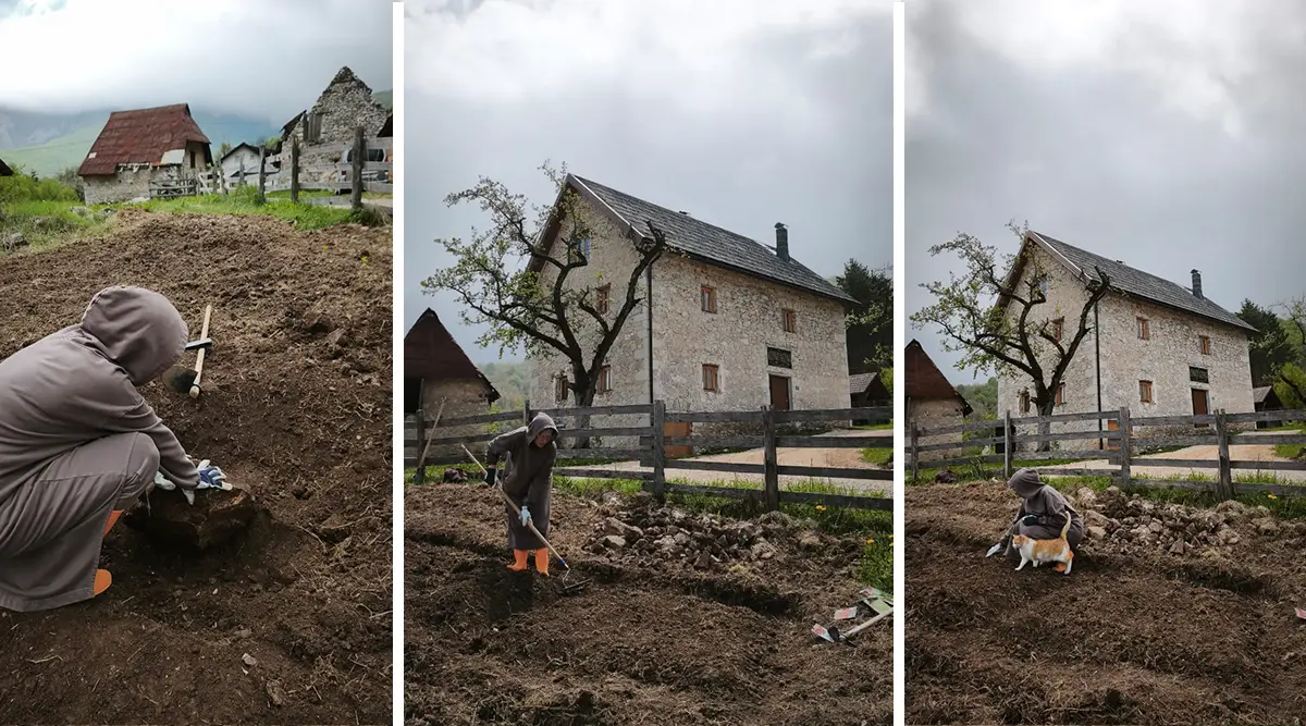 Small family home Ledici planting agriculture organic Foundation Second 02