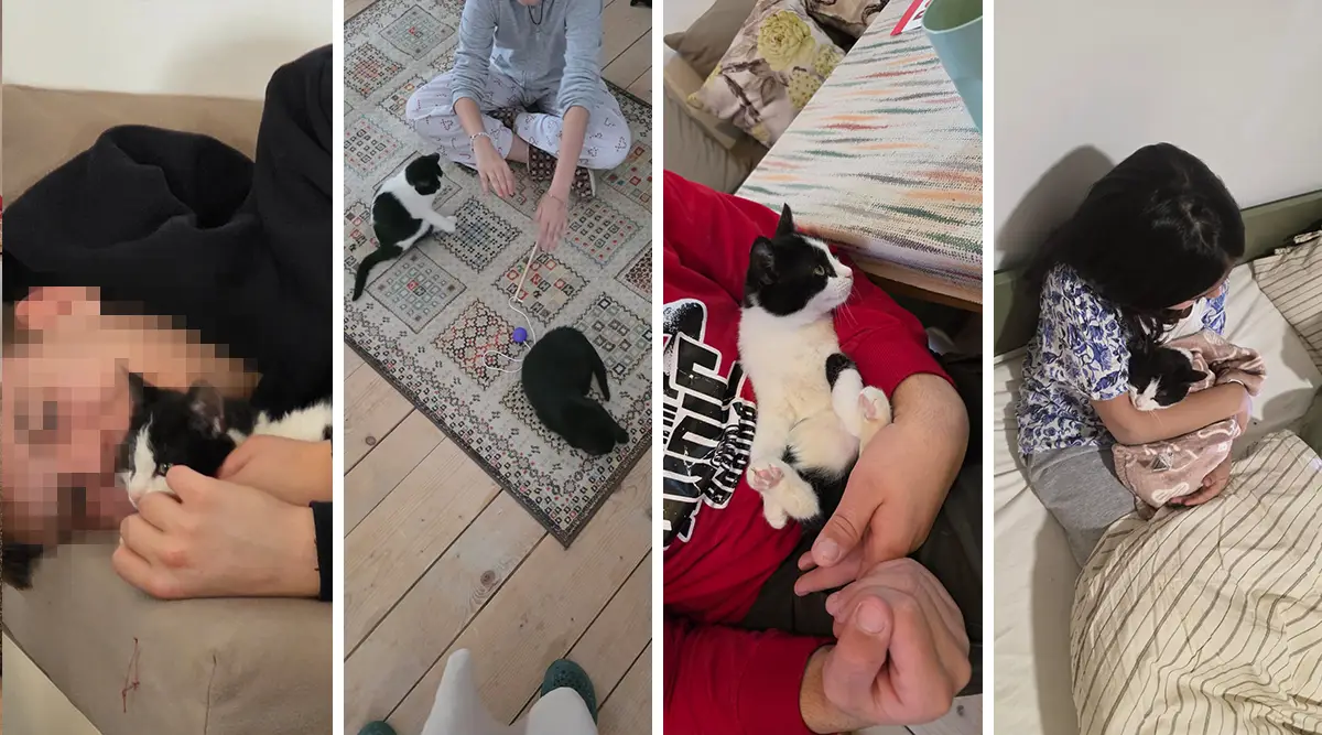 Miki Mrvica therapy cats small family home Ledici Home Bjelave Second Foundation 01