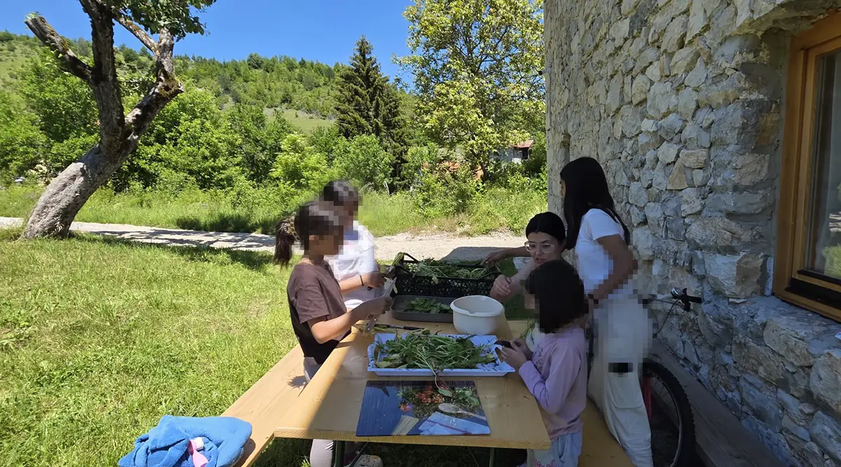 Rotkvice salata mali porodicni dom Ledici basta djeca dom Bjelave fondacija second 00