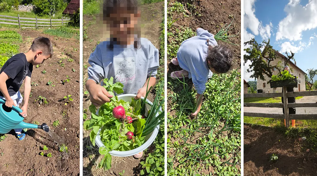 small family home ledici first harvest from the garden children without parental care second foundation 01