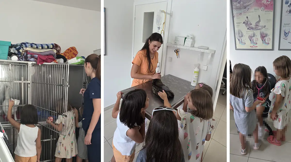 City Vet Veterinary Clinic visit by girls from the Sarajevo Home for Children Without Parental Care with Foundation Second 01
