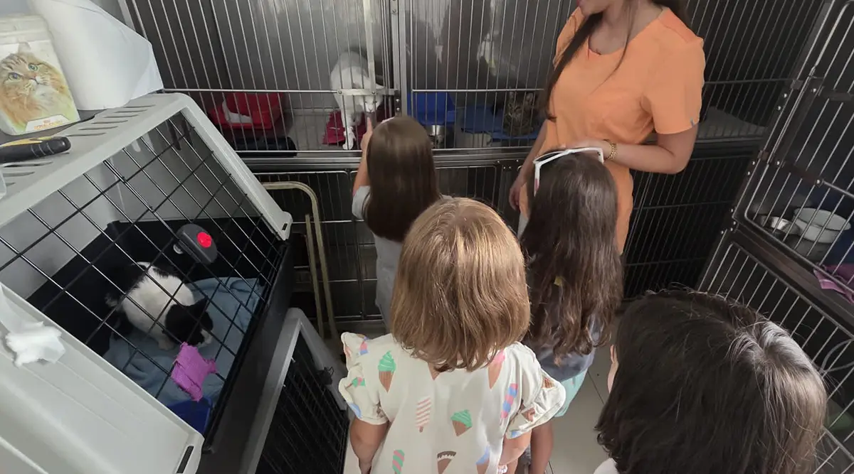 City Vet Veterinary Clinic visit by girls from the Sarajevo Home for Children Without Parental Care with Foundation Second 03