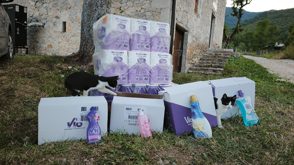 Violeta supports the Small Family Home in Ledići once again: Donating essential products for children without parental care