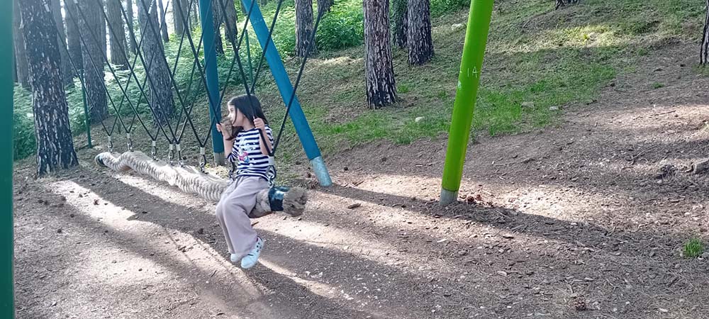 Sunnyland1