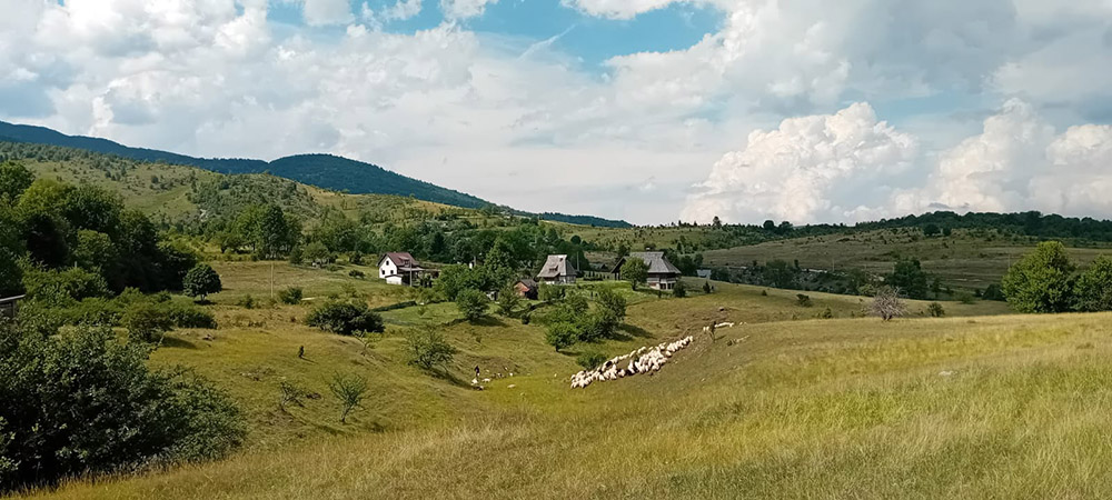 Vikenddjevojke7