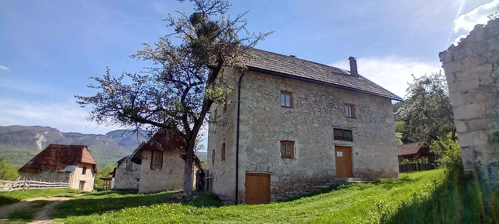 Ledici