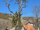djeca dom bjelave ledici ramazan fondacija second  