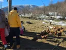 djeca sa teskocama u razvoju mali porodicni dom za djecu bez roditeljskog staranja fondacija second