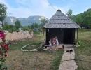 ledici fondacija second