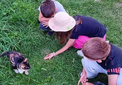 Nature Friendship