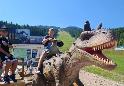 Excursions & Events