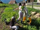 ledici mali porodicni dom bjelave djeca bez roditeljskog staranja izlet fondacija second  