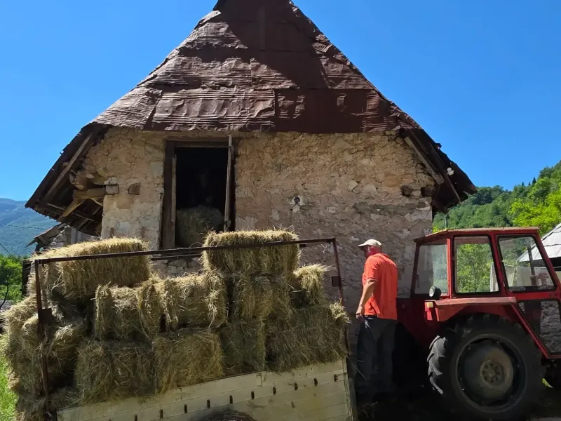 ledici mali porodicni dom bjelave djeca bez roditeljskog staranja izlet fondacija second  