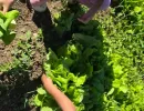 ledici mali porodicni dom bjelave djeca bez roditeljskog staranja izlet fondacija second  