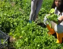 ledici mali porodicni dom bjelave djeca bez roditeljskog staranja izlet fondacija second  