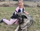 dom za djecu bez roditeljskog staranja tuzla mali porodicni dom ledici fondacija second  